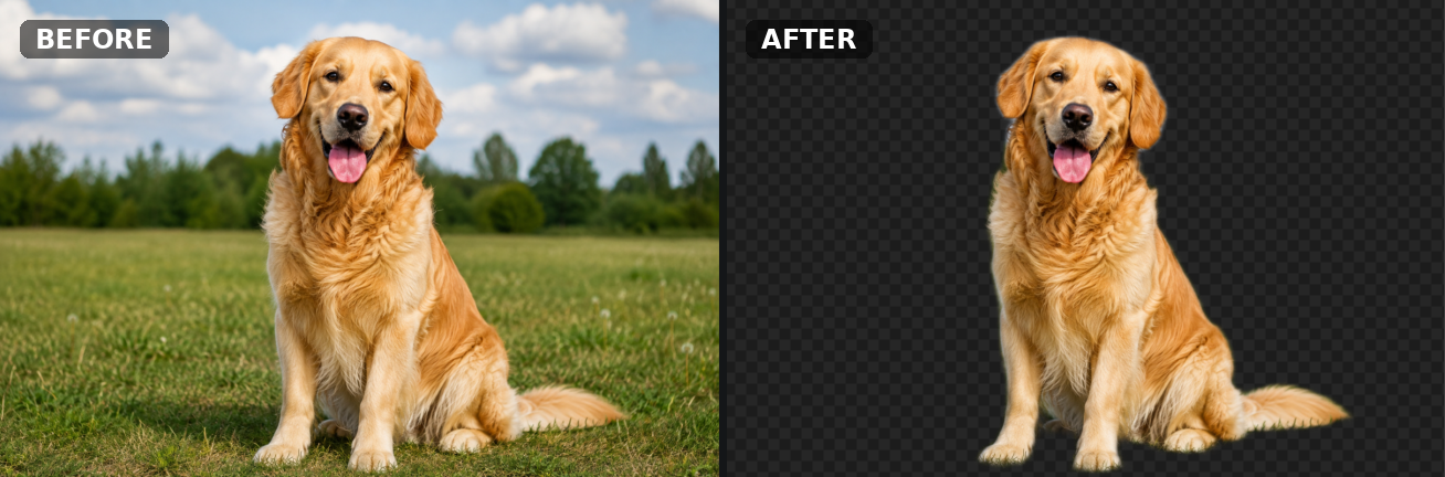 Before and after: automatic background removal on a golden retriever photo, showing fine fur edge detail
