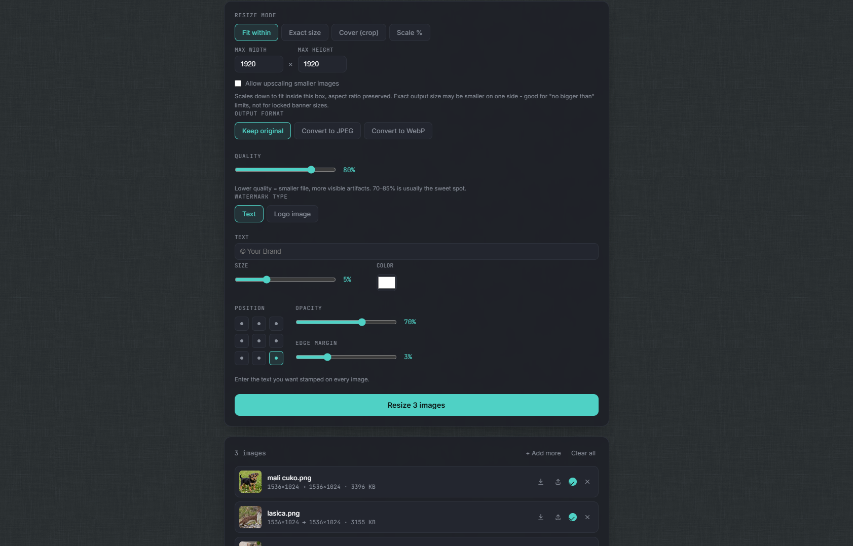 Koner IMG resize, output format, quality and text watermark settings panel